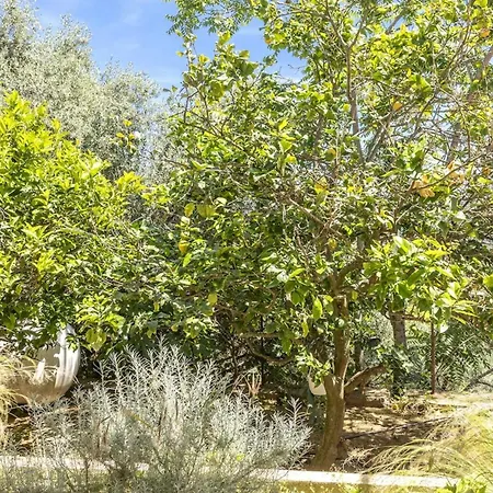 Casa Ortale * مونتايسلو