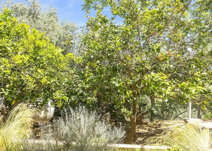 Casa Ortale * Monticello